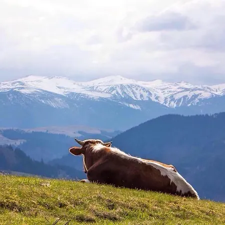 у ганнусі, Gasthof Werchowyna